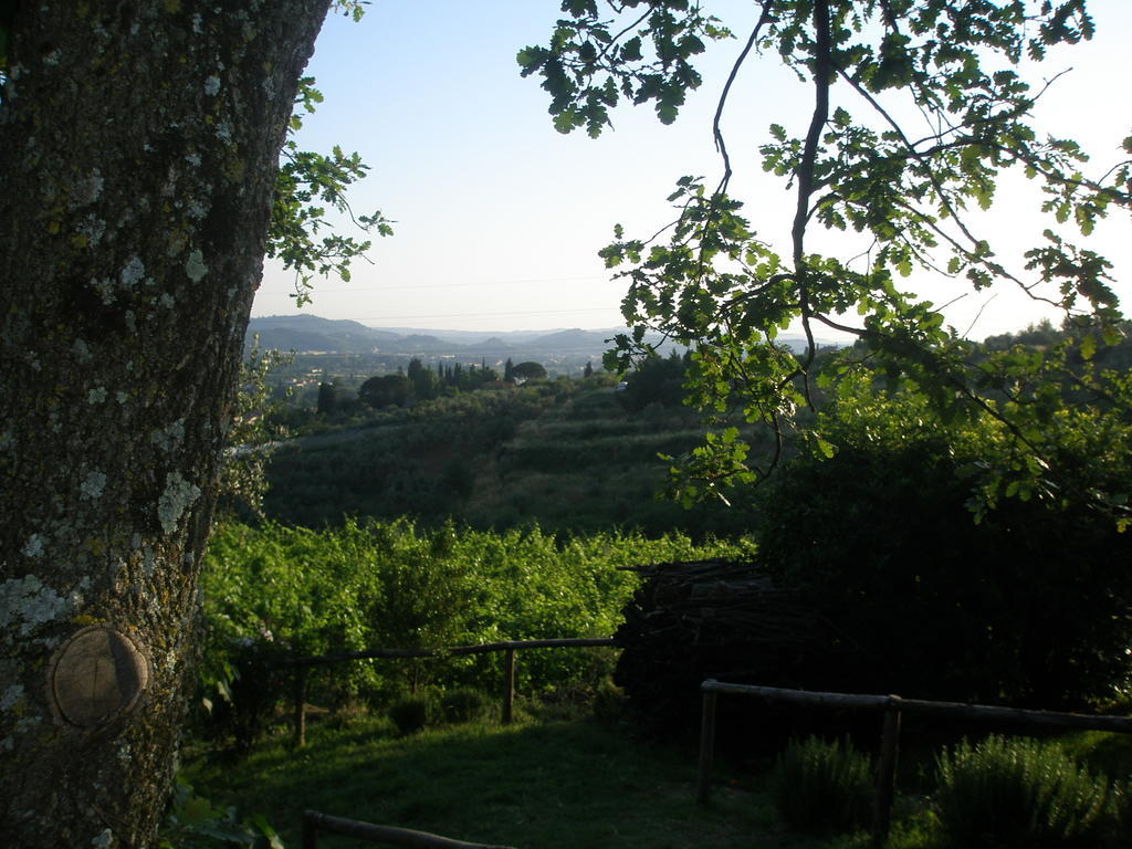 Agriturismo Biologico Poggiopiano Vila Fiesole Exterior foto